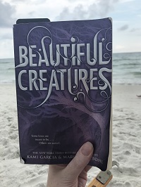 Beautiful creatures reduced